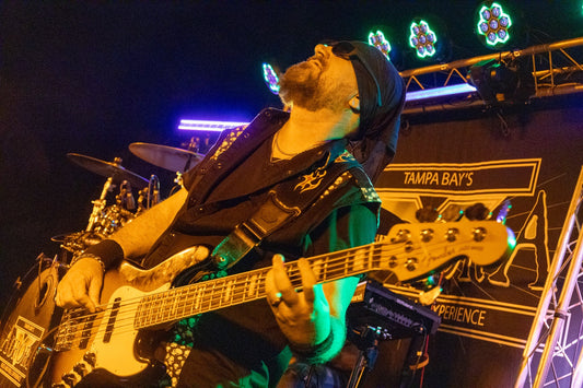 Venice Night Market – November 15, 2025 at Maxine Barritt Park: The Gallery Is LIVE!